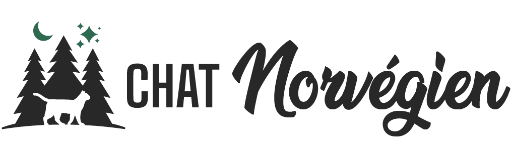 Logo chat norvegien